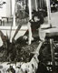 1968 r.Sopot